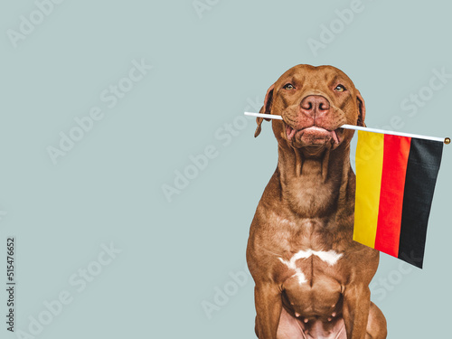 Lovable, pretty dog and German Flag. Closeup
