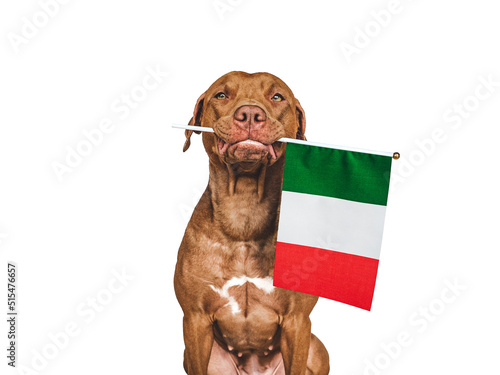 Lovable, pretty dog and Flag of Italy