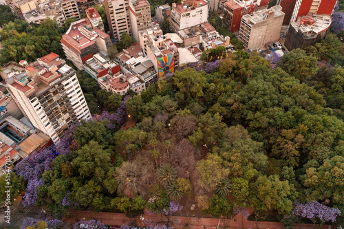 Parque México, CDMX photo