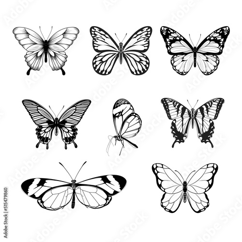 Set of Butterflies - Black and White Butterfly Collection © Ghagra