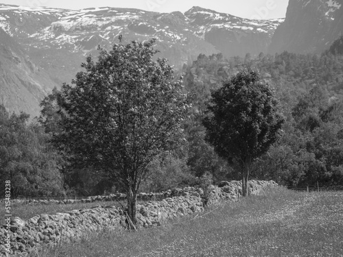 Wallpaper Mural Eidfjörd in Norwegen Torontodigital.ca