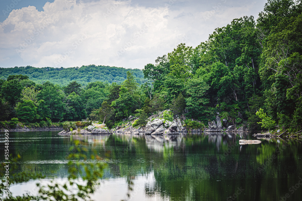 landscape with lake and trees