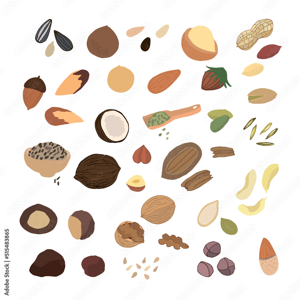 Spices, nuts, seeds vector illustraions set Spices, nuts, seeds vector illustraions set