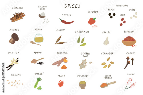 Spices, pepper, vanilla, honey, wasabi vector illustrations set