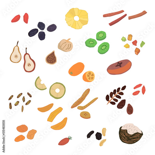 Dried fruits vector illustrations set
