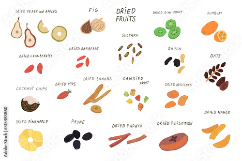 Dried fruits vector illustrations set
