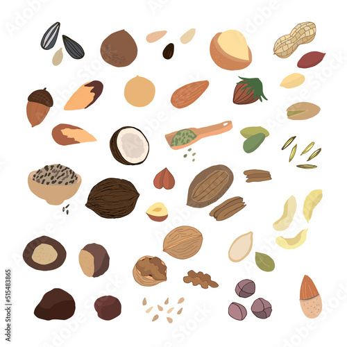 Spices, nuts, seeds vector illustraions set