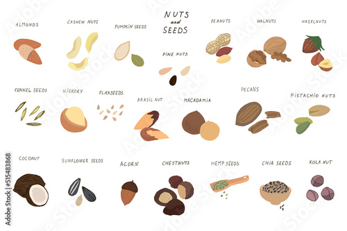 Spices, nuts, seeds vector illustraions set