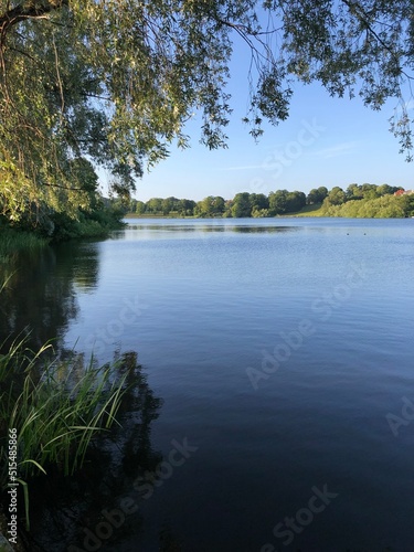 lake and trees