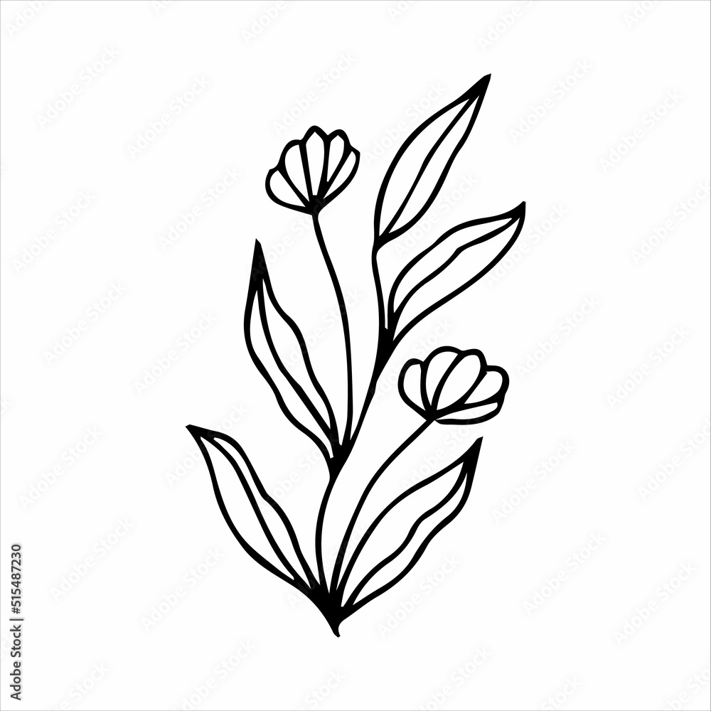 hand drawn doodle botanical floral element for floral design concept