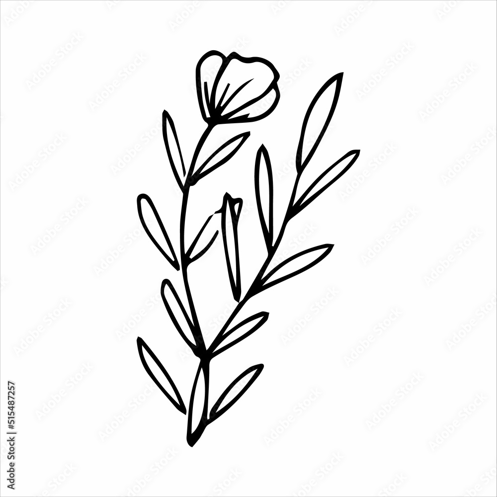 hand drawn doodle botanical floral element for floral design concept