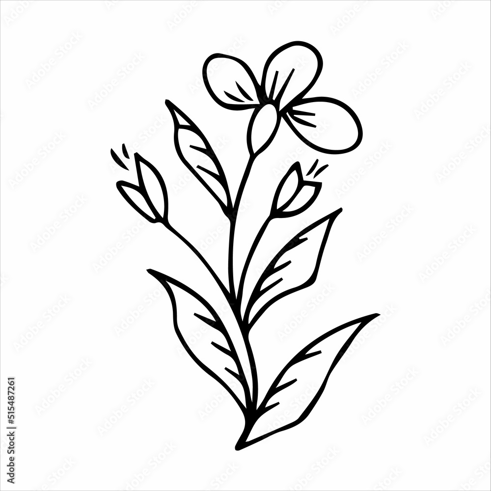 Fototapeta premium hand drawn doodle botanical floral element for floral design concept