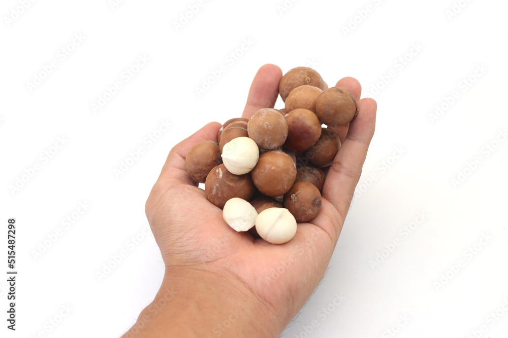 Hand holding a handful of macadamia nuts isolated on white background Hand holding a handful of macadamia nuts isolated on white background