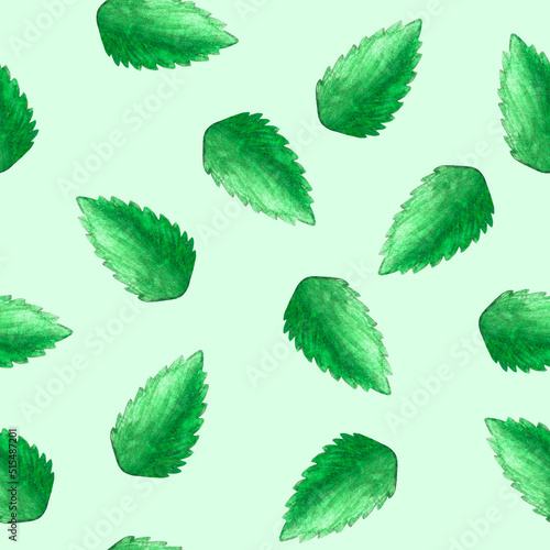 Hand drawn watercolor seamless  pattern with lot of green single peppermint leaves as background. Herbal aquarelle element for printing fabric, wrapping paper, cards © Sunny_Smile
