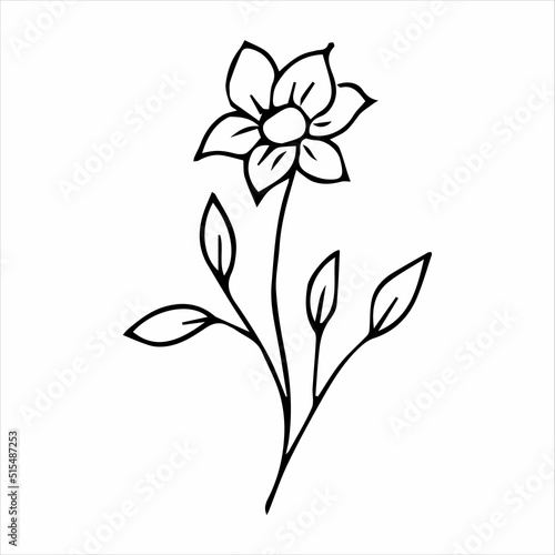 hand drawn doodle botanical floral element for floral design concept