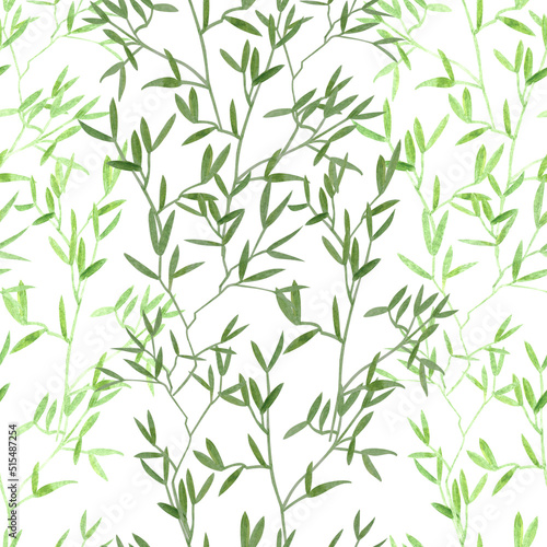 Fototapeta Naklejka Na Ścianę i Meble -  Aquarelle seamless endless hand painted drawn pattern with two colored light and dark green wild delicate plants and leaves on white background. Watercolor botanical natural ornament