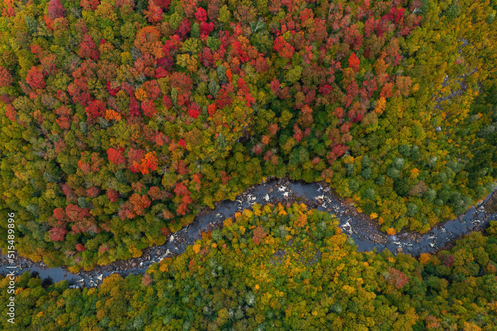 Aerial of Blackwater River and Canyon on Cloudy Day in Autumn - Blackwater Falls State Park - Appalachian Mountain Region - West Virginia