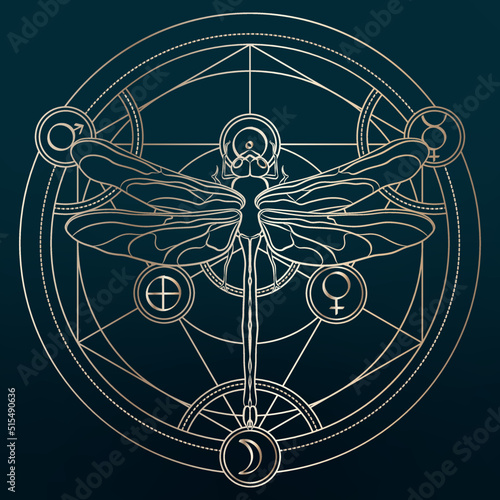 Hand drawn golden dragonfly with alchemy circle and symbols. Mystical magic vector illustration on colored background. Esoteric sings and insects. Spirituality. Tatoo. Animal spirit art