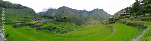 Rice Terraces of the Philippine Cordilleras, rice fields in Banaue region,Philippines ,Asia, rice production traditional agriculture,World Heritage Site consisting of a complex of rice terraces