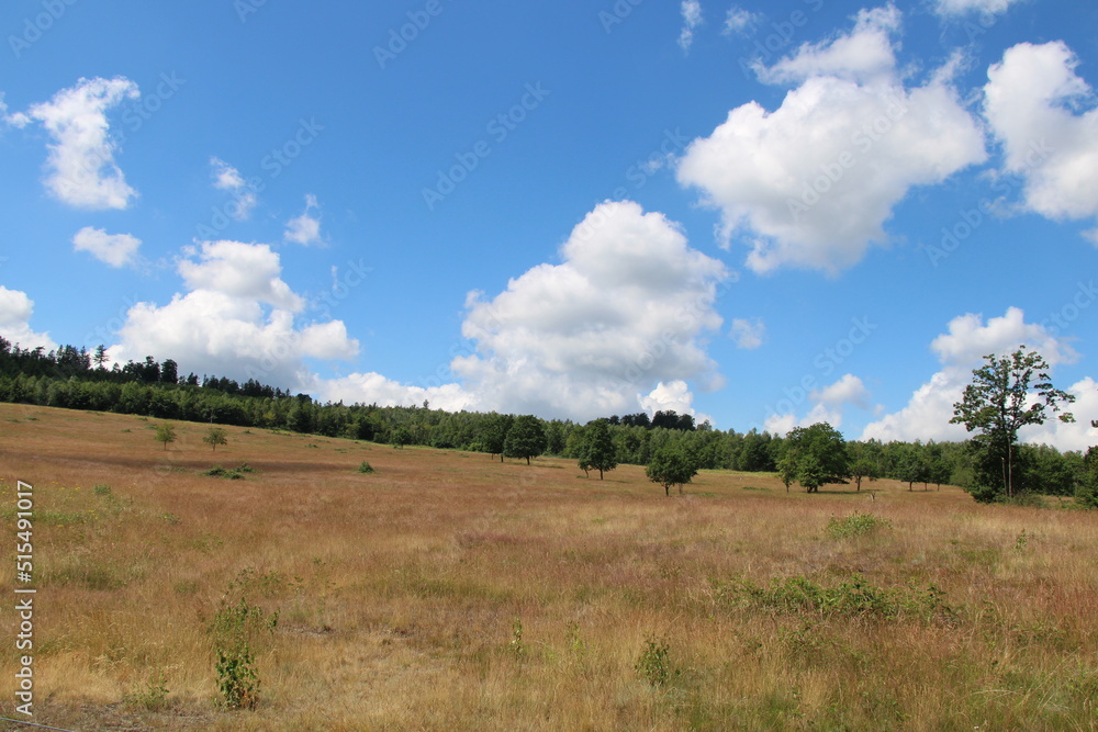 Hiking in the Harz Mountains | Close to Wolfshagen