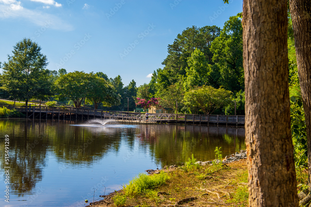 a gorgeous summer landscape in the park with a lake and a water ...