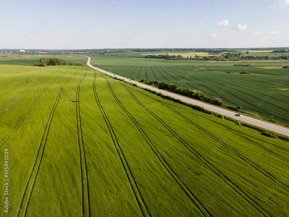 Green a field of crops from above. Drone shot with a road from bird’s eye view. Green and yellow natural background. Country road. Road trip in Europe. Landscape view in perspective