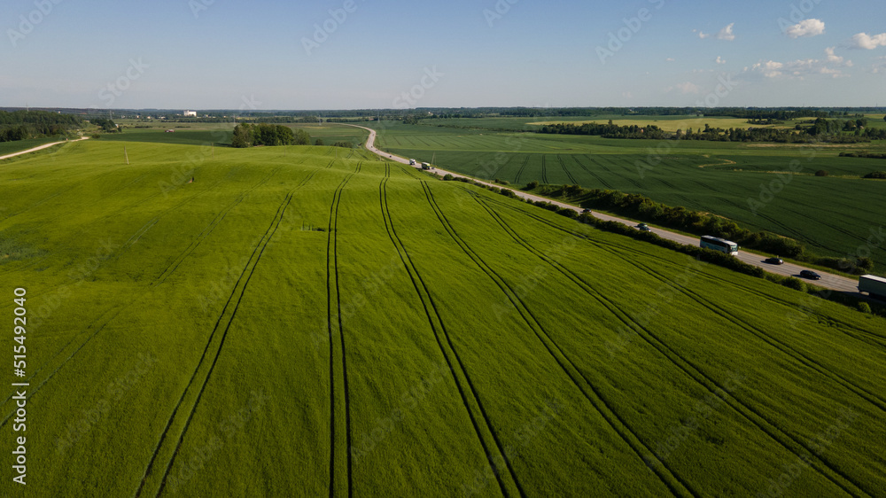 Green a field of crops from above. Drone shot with a road from bird’s eye view. Green and yellow natural background. Country road. Road trip in Europe. Landscape view in perspective