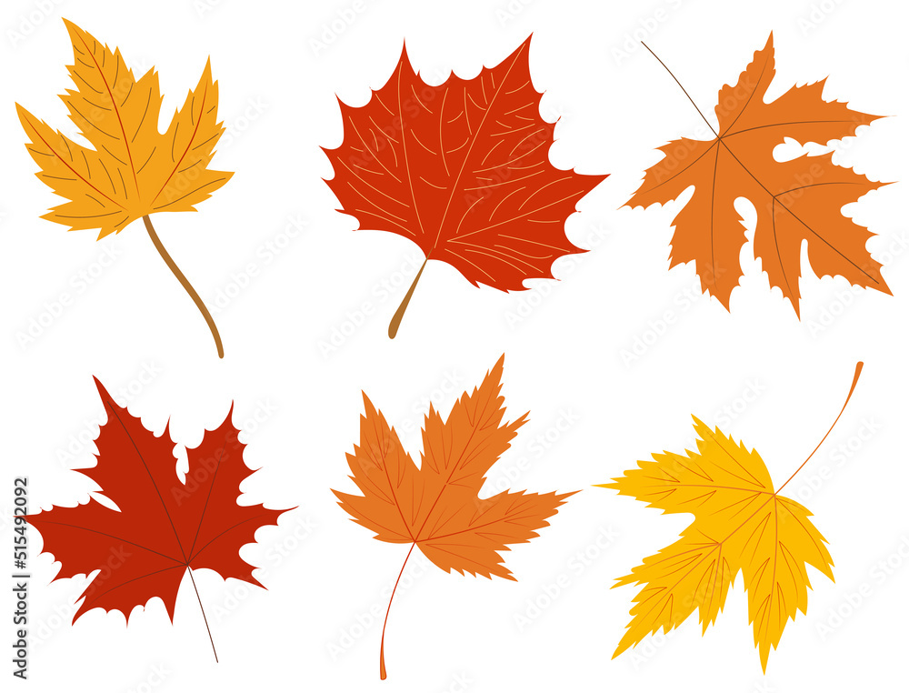 maple leaves in flat style, set isolated, vector maple leaves in flat style, set isolated, vector