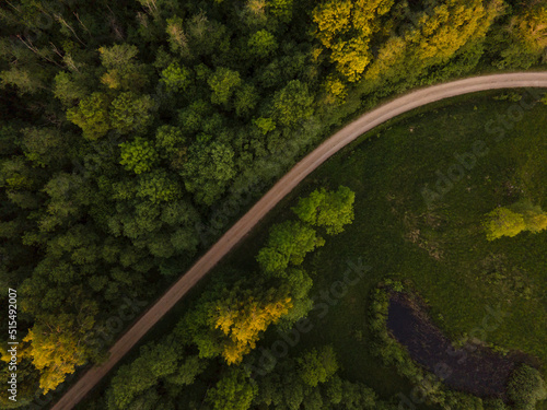 Autumn forest road from above. Drone shot with a road from bird’s eye view. Green and yellow natural background landscape. Country rural road. Road trip in Europe