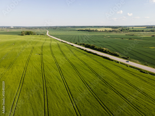 Green a field of crops from above. Drone shot with a road from bird   s eye view. Green and yellow natural background. Country road. Road trip in Europe. Landscape view in perspective