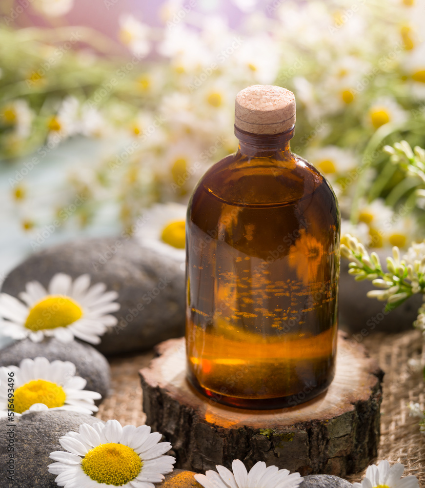 Chamomile oil in a glass bottle. Spa concept. Fragrant oil of chamomile flowers, wooden table vertical macro. Chamomile oil in a glass bottle. Spa concept. Fragrant oil of chamomile flowers, wooden table vertical macro.