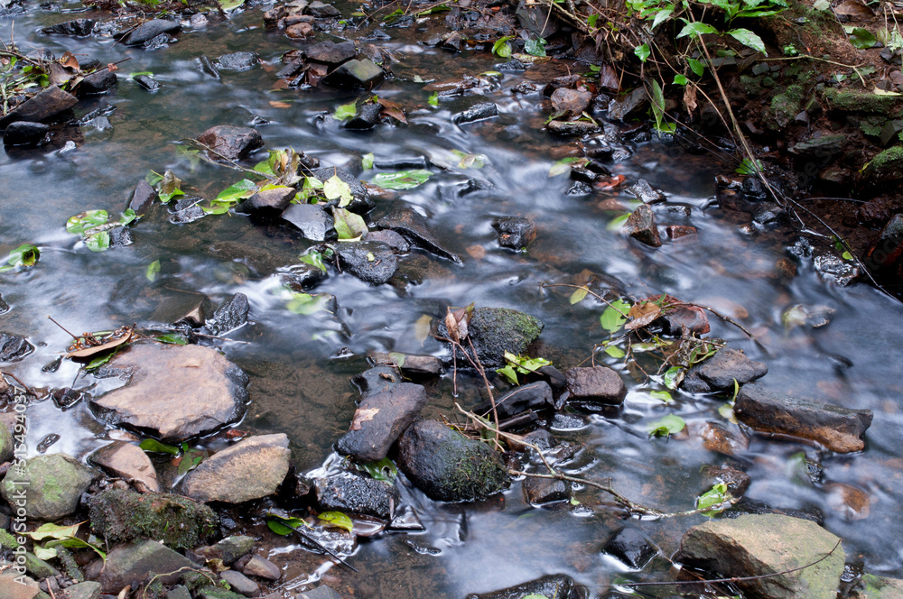 photograph of a stream with long exposure
