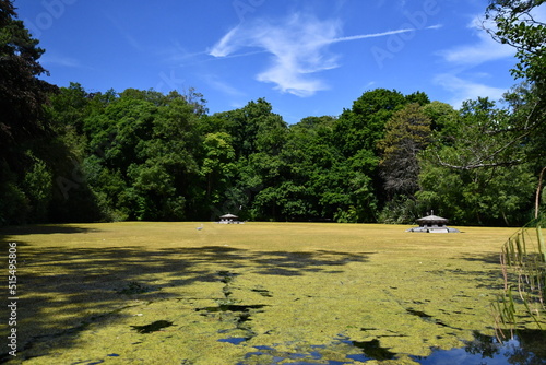 Pond in Kilkenny Castle Park