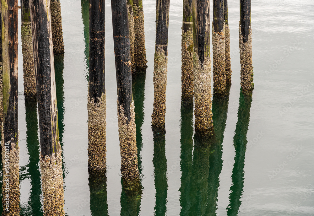 Reflection of the wooden pilings of pier in the cold ocean at Icy Strait Point in Alaska on cloudy day