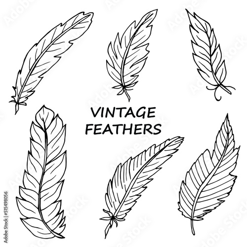 Decorative feathers isolated set.  Hand drawn vintage design elements for coloring, spiritual relaxation, tattoo, witchcraft, print for polygraphy. Doodle art vector illustration. photo