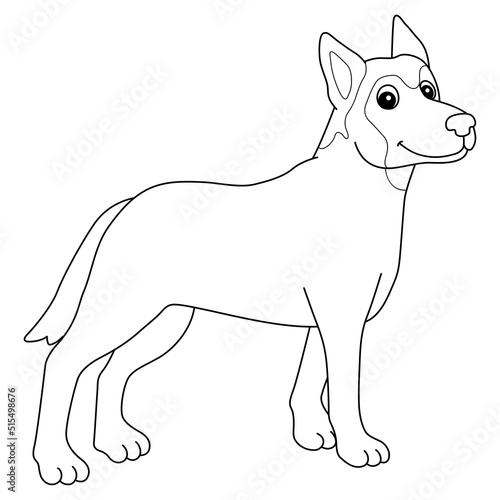  Belgian Malinois Dog Isolated Coloring Page 