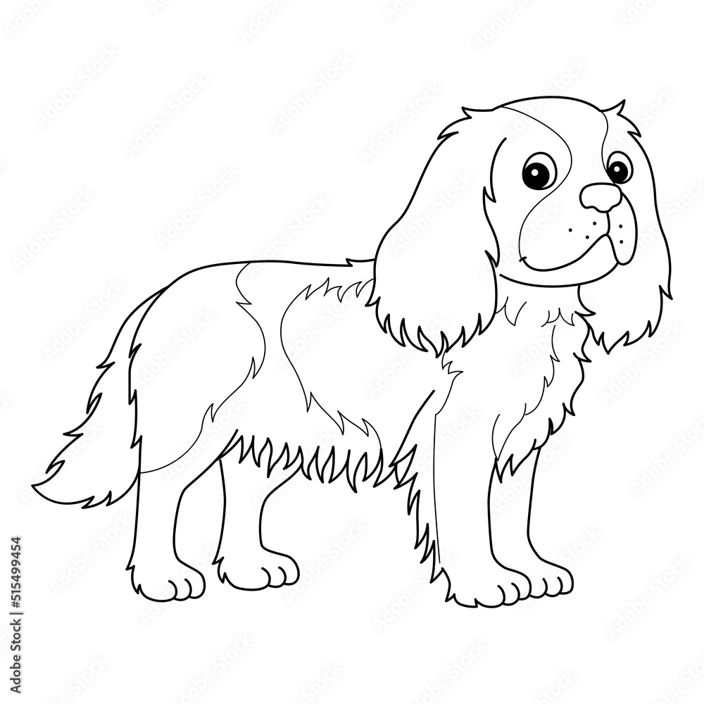 Cavalier King Charles Spaniel Isolated Coloring Cavalier King Charles Spaniel Isolated Coloring