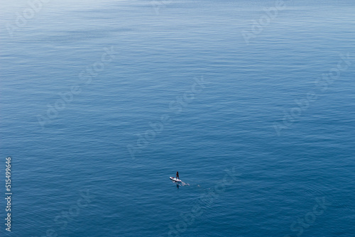 Top view of a group of surfers in the water. Guys and girls are waiting for a wave. Some just swim. Sandy bottom. The rays of the sun on the water. Small waves. Colored boards