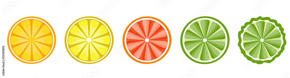 Fruit icons set. Citrus slice on white background. Eco healthy food.