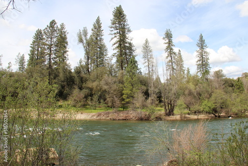 American river in Coloma, California photo