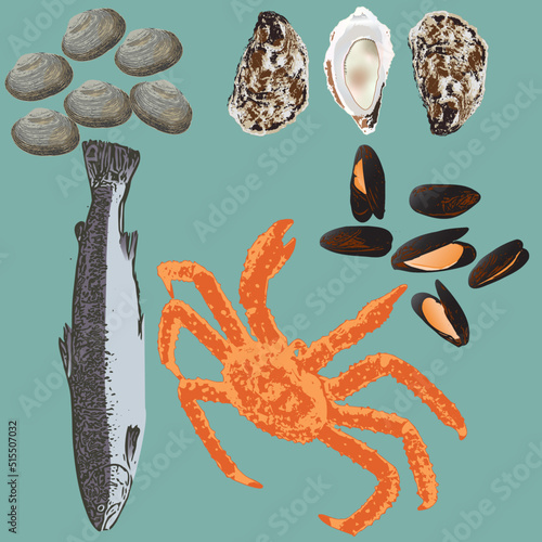 Collection of Seafood Illustrations