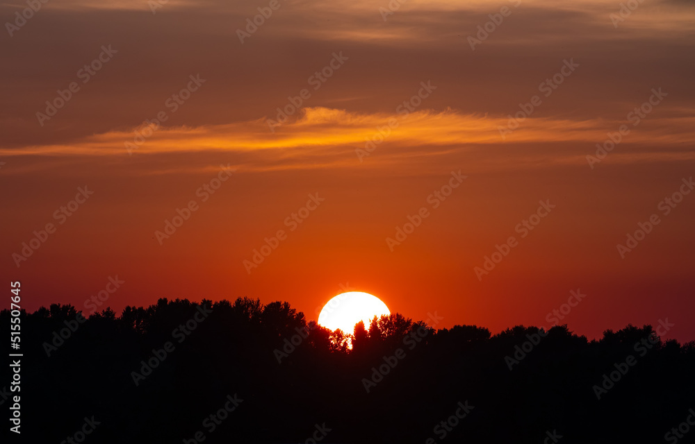 Red Sunset over the forest. The sun goes down to the horizon. The sun hides behind the trees. Sun close-up. Background