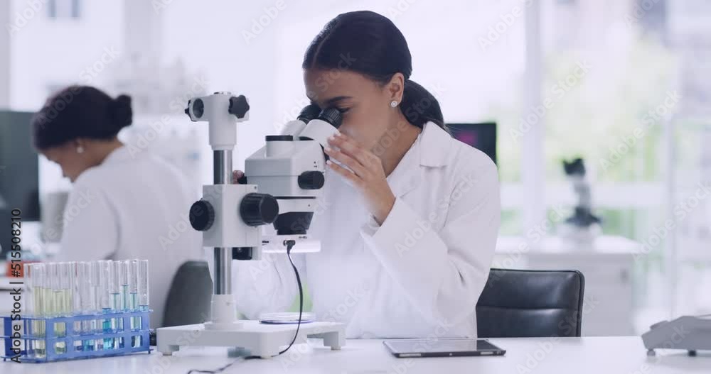 Woman technician analyzing organisms using a microscope and a device. Young female scientists entering sample results into a tablet in a research lab. A science student doing her exam in a laboratory Woman technician analyzing organisms using a microscope and a device. Young female scientists entering sample results into a tablet in a research lab. A science student doing her exam in a laboratory