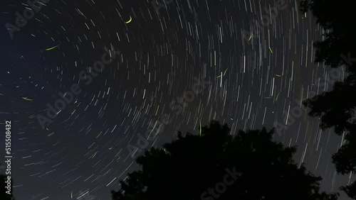 Star trail time lapse with stars moving in a circular pattern and fireflies or lightning bugs painting yellow streaks in the night sky with a silhouette of deciduous trees in the foreground.