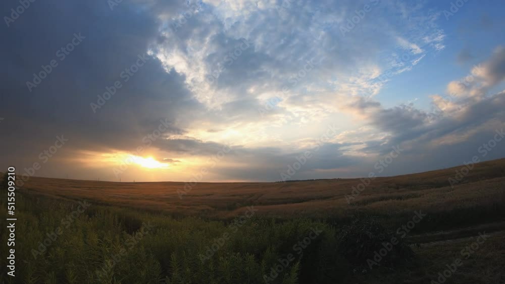 Wheat field sunset time lapse 4k Wheat field sunset time lapse 4k