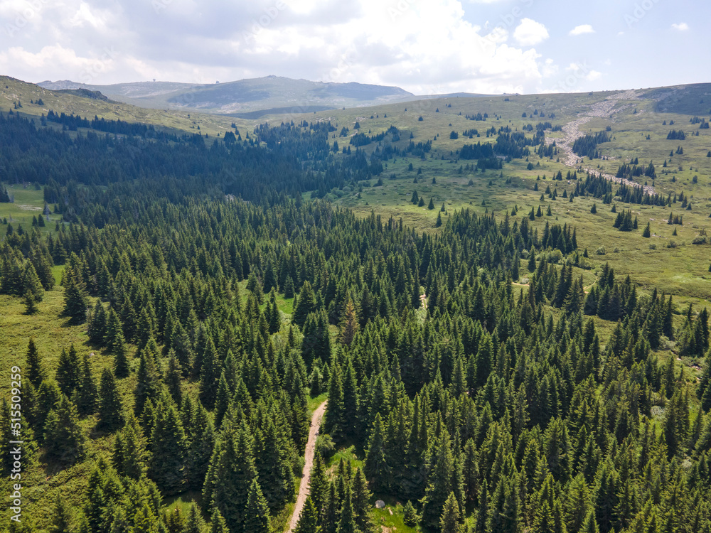 Aerial view of Konyarnika area at Vitosha Mountain, Bulgaria