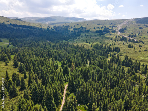 Aerial view of Konyarnika area at Vitosha Mountain, Bulgaria © Stoyan Haytov