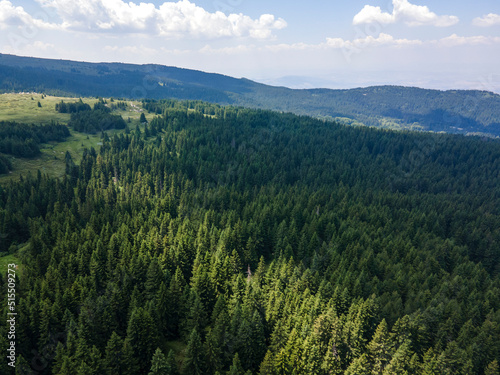 Aerial view of Konyarnika area at Vitosha Mountain, Bulgaria