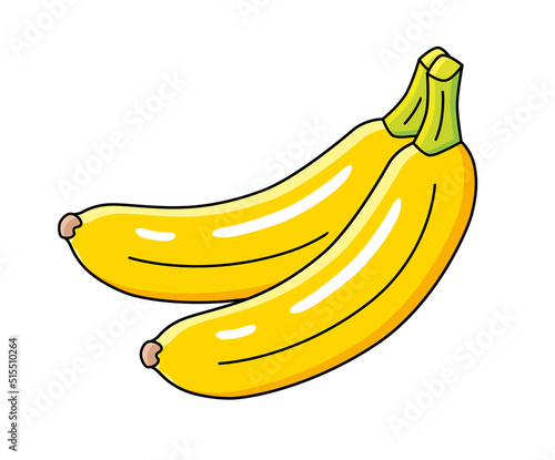 Two yellow banana fruits isolated cartoon vector