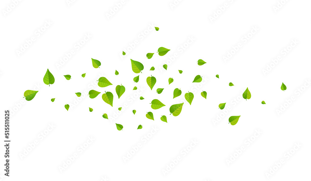 Swamp Leaves Abstract Vector White Background Swamp Leaves Abstract Vector White Background